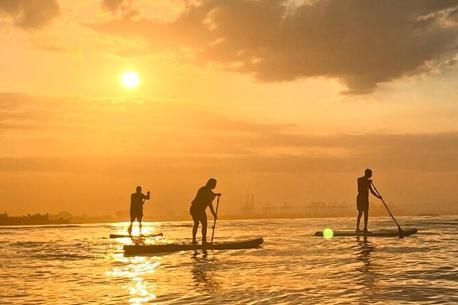 Paddleboard Tour - LED Paddleboard at Cartagena’s Coast: What Makes It Worth $35