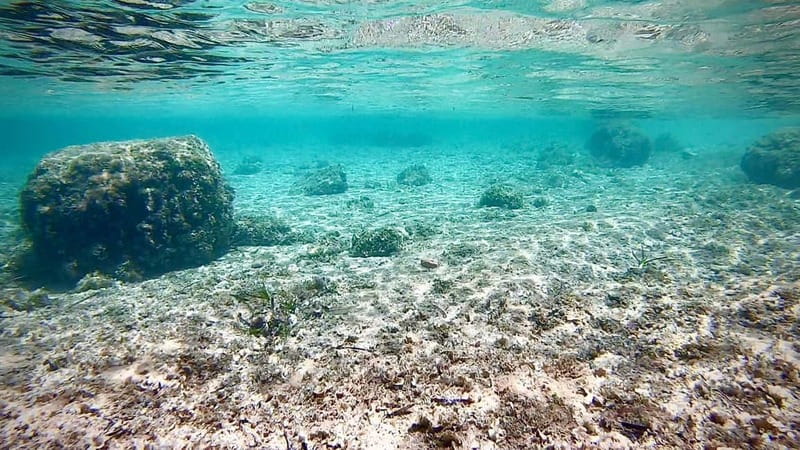 Palma de Mallorca: Private Boat Tour with Snorkel and Paddle - Snorkel, SUP, and an underwater camera: what you actually do out there
