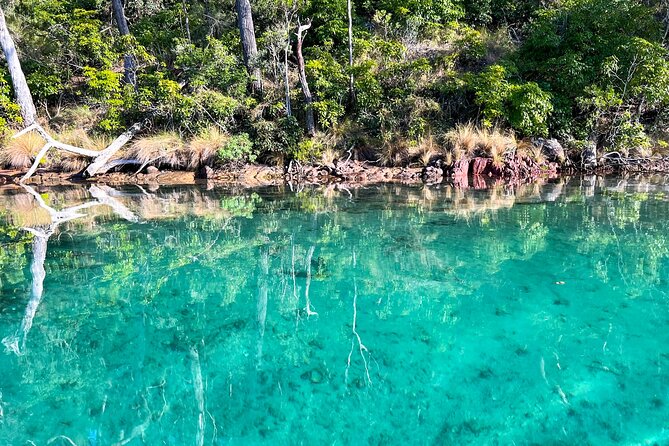Pambula River Kayaking Tour - The beach stop for gourmet morning tea (and a refreshing swim)