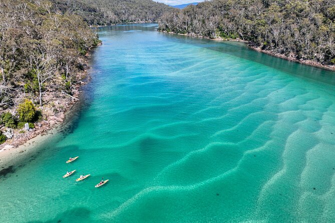 Pambula River Kayaking Tour - Price and value: is $143.45 for 3 hours worth it?