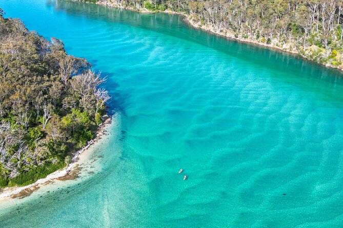 Pambula River Kayaking Tour - Bird spotting in Beowa National Park: more than just guessing