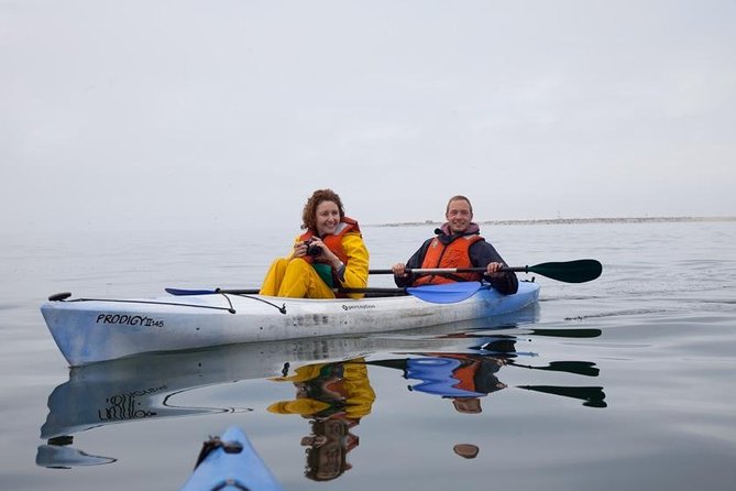 Pelican Point Kayaking Half-Day Tour - Pelican Point Kayaking: why Walvis Bay’s seal colony hits different