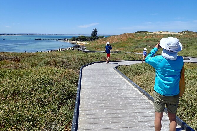 Penguin and Seal Islands Sea Kayaking Experience - Key highlights to know before you go