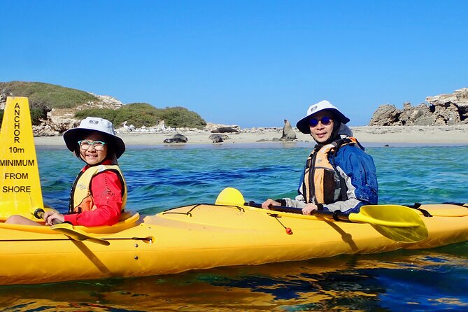 Penguin and Seal Islands Sea Kayaking Experience - Fitness, ages, and who this tour suits best