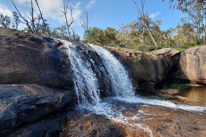 Perth Kayak Tour - Canning River Wetlands - Stop 2: Canning River Regional Park on the water