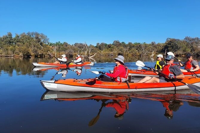 Perth Kayak Tour - Canning River Wetlands - The value question: $71.01 for 3 hours of real work (and real context)