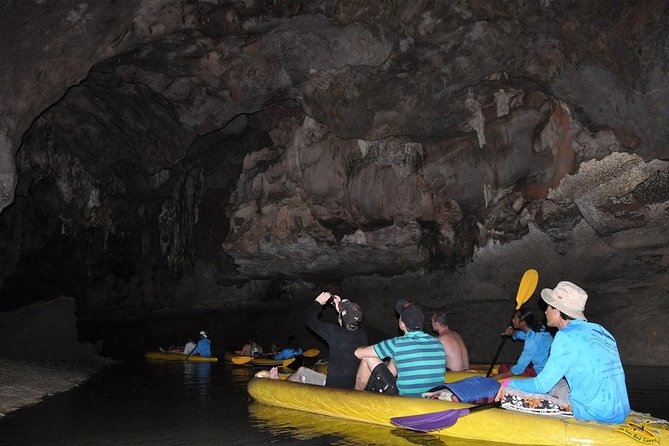 Phang Nga Bay Starlight by John Gray Sea Canoe - Wildlife you might see: monkeys and kingfishers
