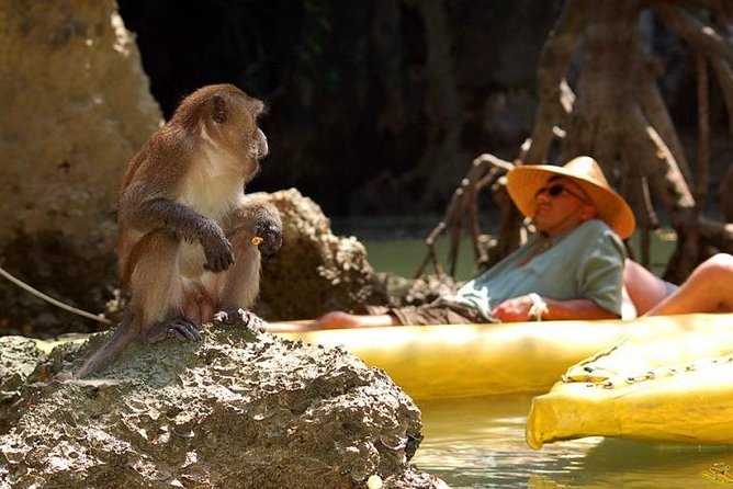 Phang Nga Bay Starlight by John Gray Sea Canoe - Guides, safety, and why the boat size matters
