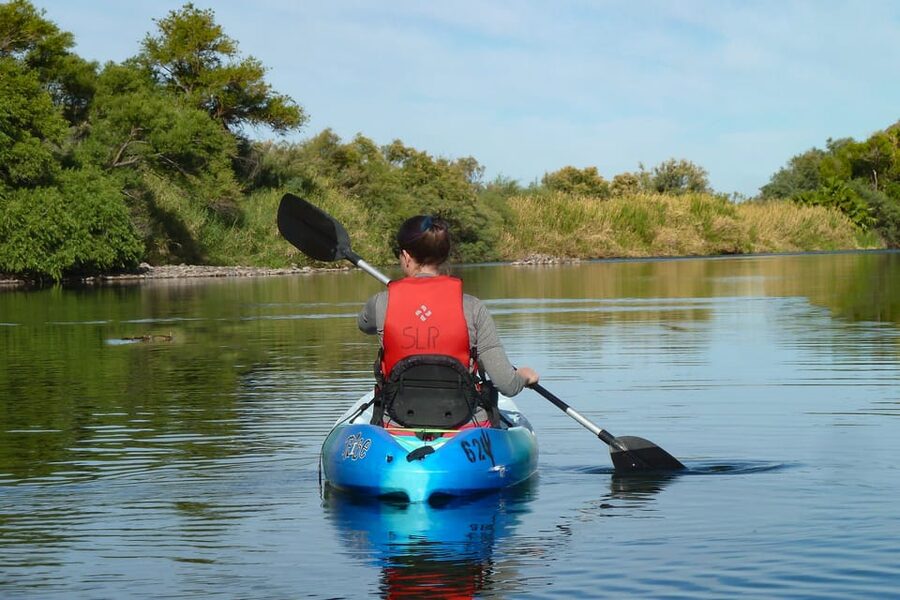 Phoenix: Self-Guided Kayaking Trip to Foxtail - What wildlife spotting looks like from the kayak
