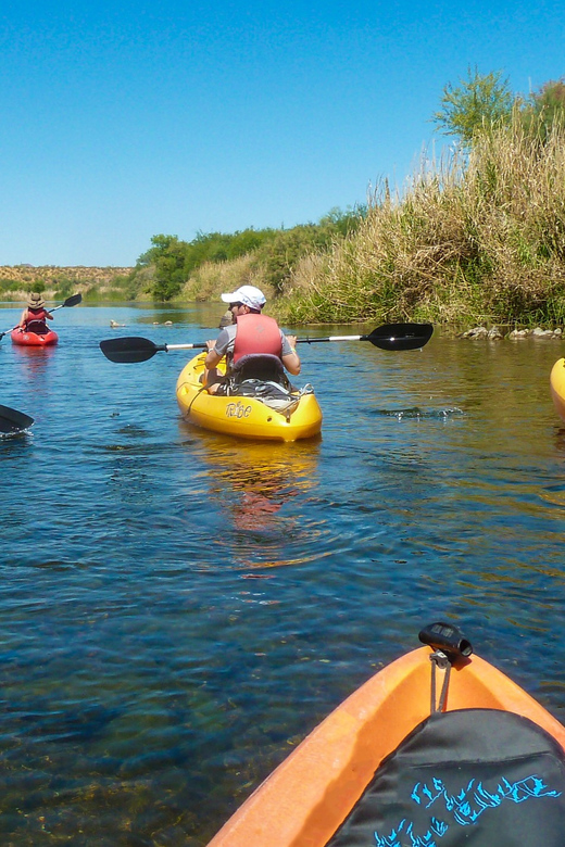 Phoenix: Self-Guided Kayaking Trip to Foxtail - Paddling level: beginner-friendly, with a few active stretches