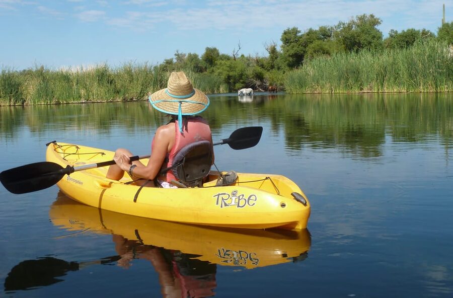 Phoenix: Self-Guided Kayaking Trip to Foxtail - Who should book this Foxtail kayak float—and who should skip it