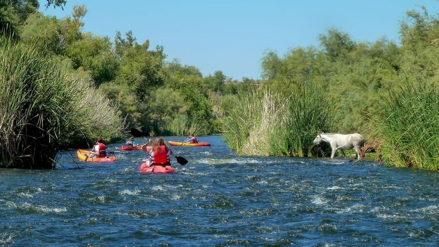 Phoenix: Self-Guided Kayaking Trip to Foxtail - Launch area to shuttle pickup: what your timeline feels like