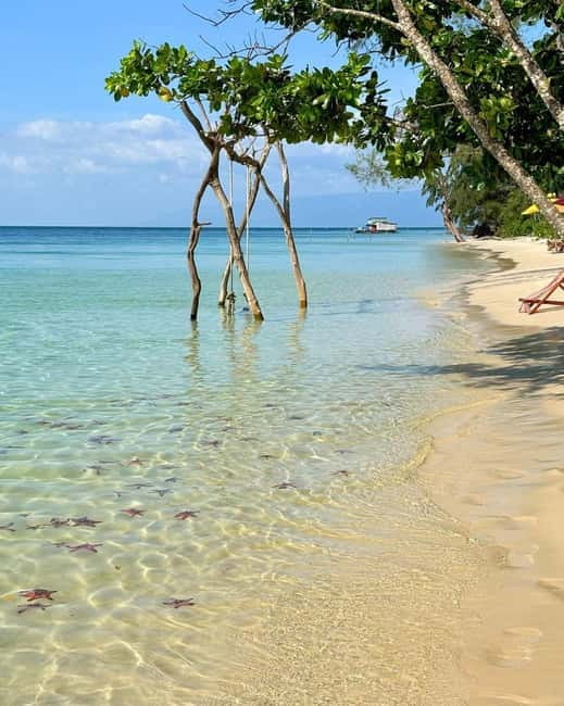 Phu Quoc: Kayaking with Starfish Beach and Bee Farm Tour - Cost and value: what $32 gets you (and what it doesn’t)