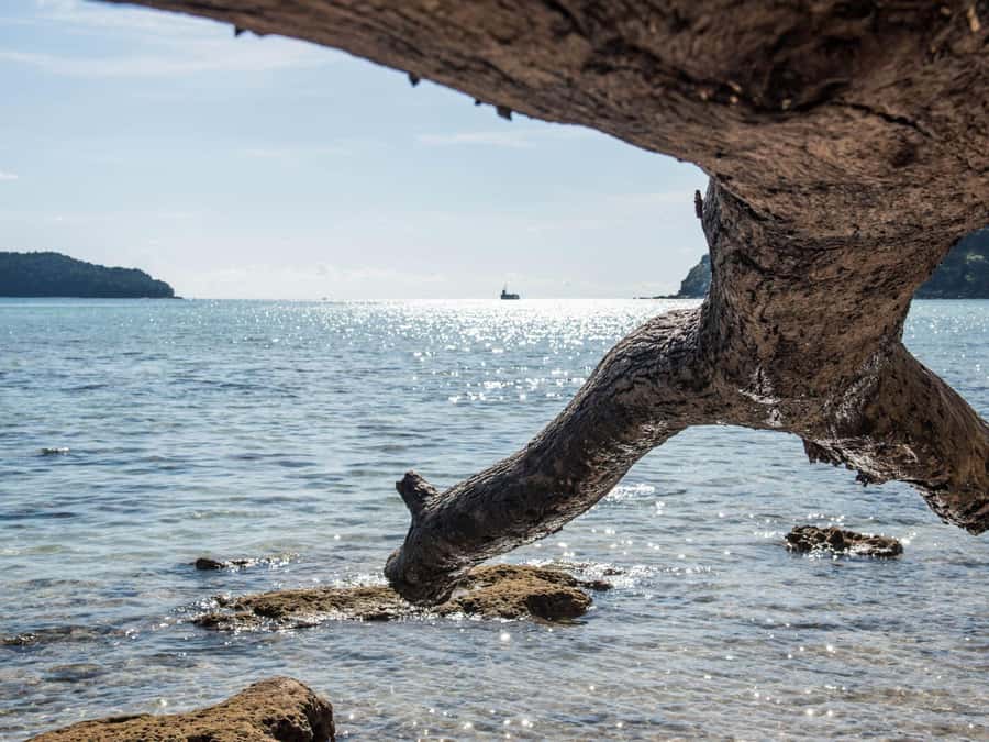 Phuket: James Bond Island Sea Canoe by Speedboat - Price and what you actually get for $77