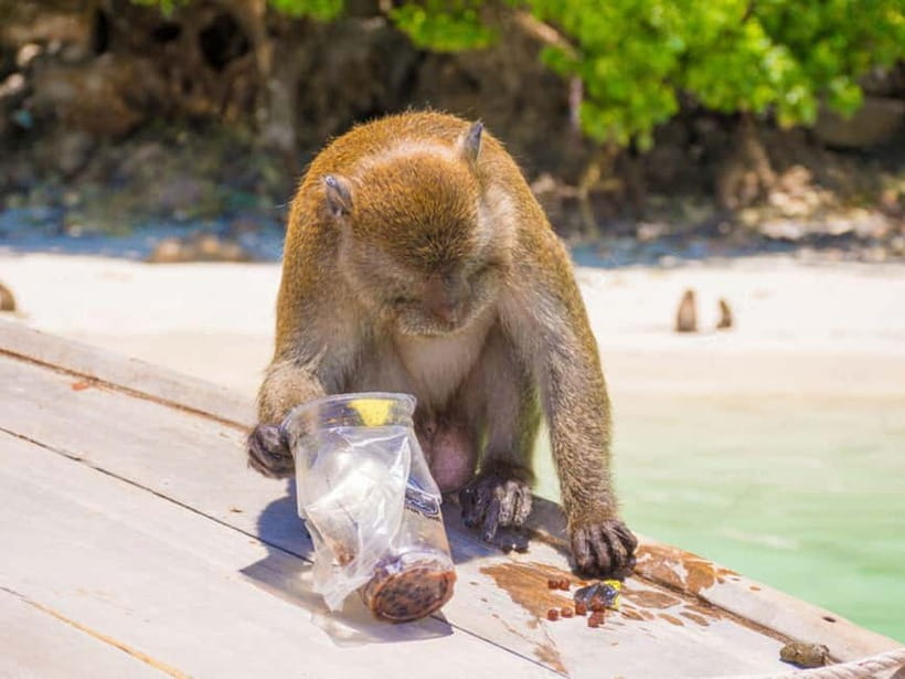 Phuket: James Bond Island Sea Canoe with lunch by Big Boat - Key highlights worth planning for