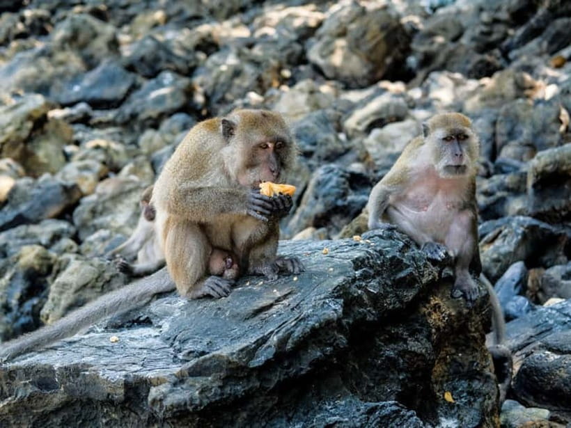 Phuket: James Bond Island Sea Canoe with lunch by Big Boat - Phuket to Phang Nga Bay: why this day trip works
