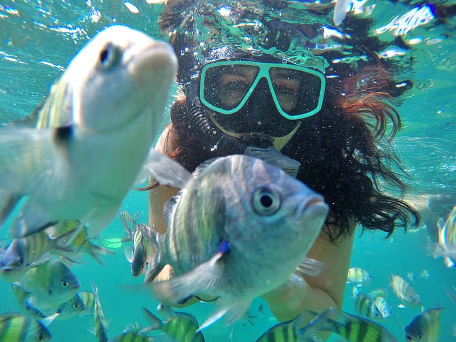 Phuket: Phi Phi & James Bond Island Combo Day Tour w/Lunch - Key Points You’ll Actually Care About