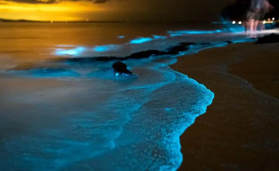 Phuket : Twilight Sea Canoe Tour with Glowing Plankton - Key Highlights You’ll Actually Feel During the Day