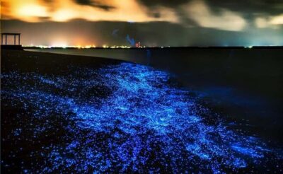 Phuket : Twilight Sea Canoe Tour with Glowing Plankton - From Phuket Pickup to Ao Por Pier: How the 10-Hour Day Starts