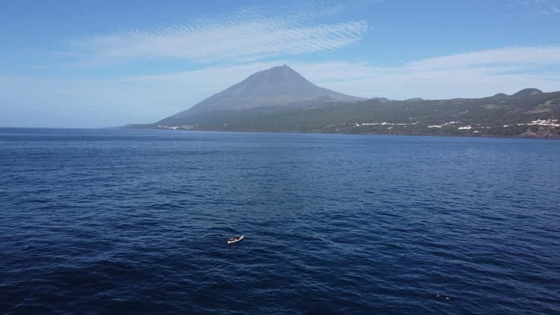 Pico island: guided kayak and snorkel tour - Key points before you go
