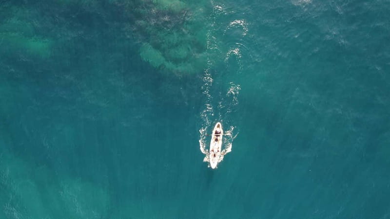 Pico island: guided kayak and snorkel tour - Paddling past the coastline: Pico Mountain overhead, Lajes on your left