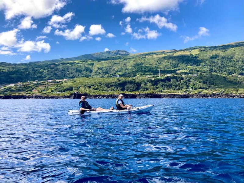 Pico island: guided kayak and snorkel tour - Price and value: what $70 buys you on Pico’s water