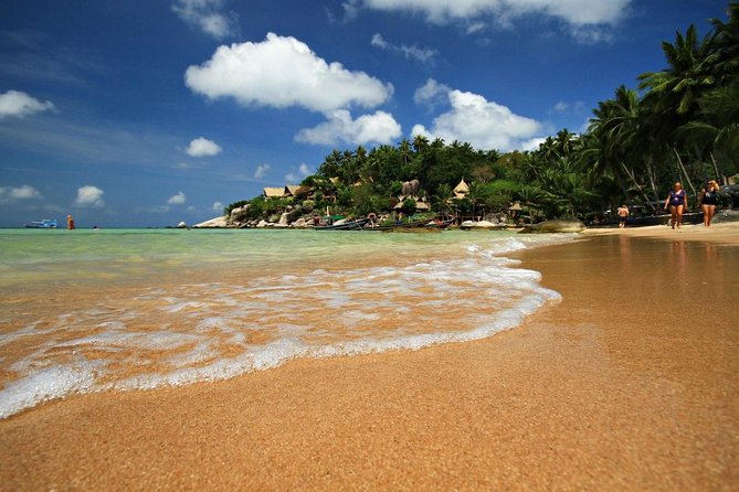 Pig Feeding, Kayaking, Snorkeling Trip at Pig Island By Speedboat From Koh Samui - Key Things I’d Pay Attention To