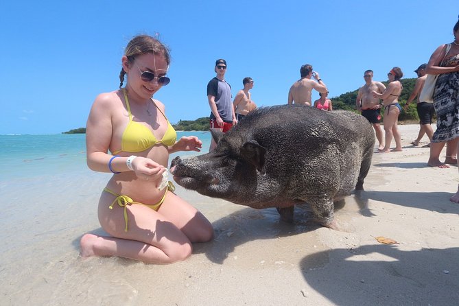 Pig Feeding, Kayaking, Snorkeling Trip at Pig Island By Speedboat From Koh Samui - Stop 1: Koh Tan Snorkeling And Kayaking Time