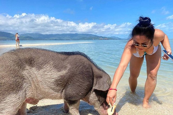 Pig Feeding, Kayaking, Snorkeling Trip at Pig Island By Speedboat From Koh Samui - Stop 2: Ko Mat Sum Beach Break With Lunch