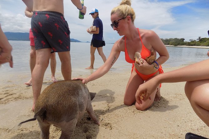 Pig Feeding, Kayaking, Snorkeling Trip at Pig Island By Speedboat From Koh Samui - Snorkeling Quality: Clear Water Helps More Than You Think