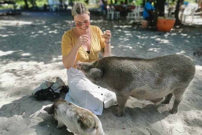 Pig Feeding, Kayaking, Snorkeling Trip at Pig Island By Speedboat From Koh Samui - Getting To The Dock: Pickup Coverage And Extra Transfer Fees