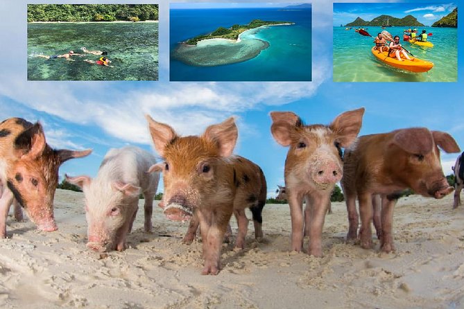 Pig Island Experience By Speed Boat, Snorkeling, Kayaking Relaxing on the Beach - Key things to know before you go