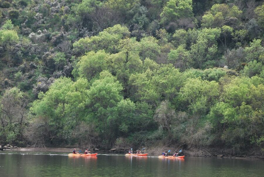 Pinhão: 4 Hour Douro Valley Kayak Rental - Pinhão on a Kayak: What the Four Hours Feels Like