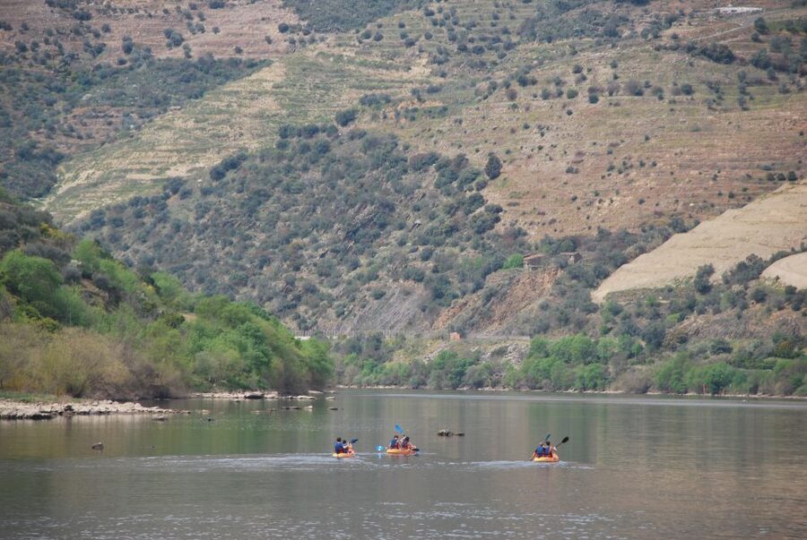 Pinhão: 4 Hour Douro Valley Kayak Rental - Traffic on the Water: What to Expect and How to Manage It