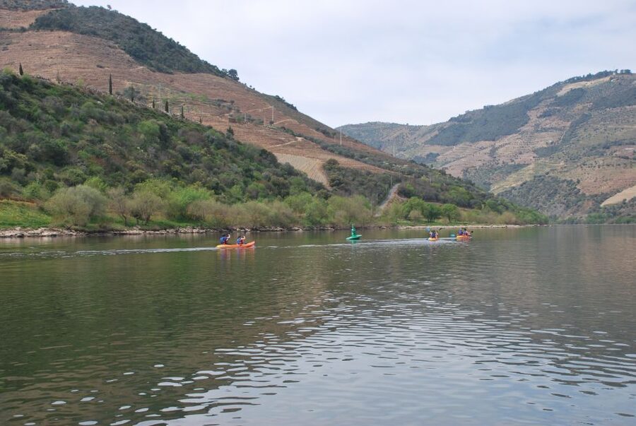 Pinhão: 4 Hour Douro Valley Kayak Rental - Who This Is Best For (and Who Might Want Something Else)