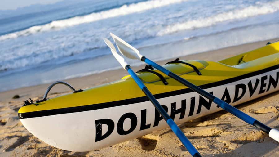 Plettenberg Bay: Guided Sea Kayak Tour - Paddle Time in Plettenberg Bay: What This 2-Hour Tour Really Feels Like