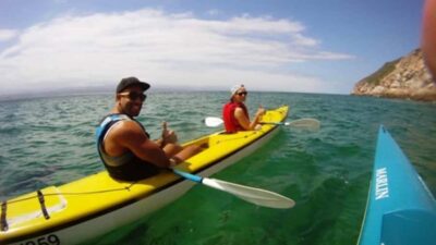 Plettenberg Bay: Guided Sea Kayak Tour - What You’ll See: Tsitsikamma, Robberg, and the Chances of Wildlife