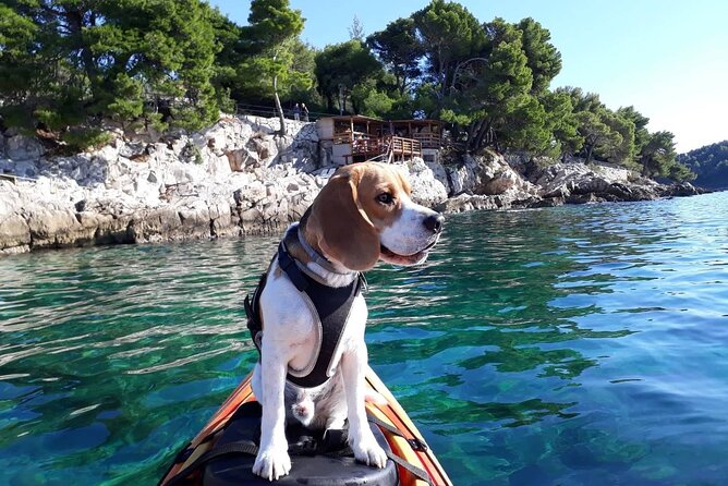 'Pomalo' Guided Sea Kayaking Tour in Cavtat - Pomalo on the water: what the Cavtat kayak tour really feels like