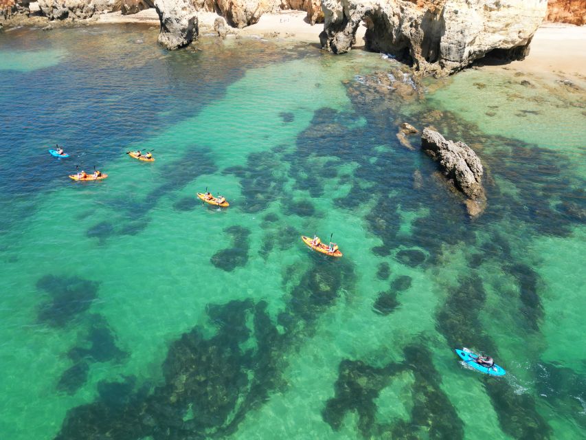 Portimão: Small Group Kayak Cave and Cliff Tour - Key moments you’ll actually remember
