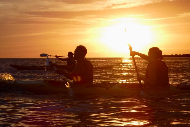 Porto Selvaggio kayak tour + cliff diving + cold spring immersion - Key highlights you’ll actually care about