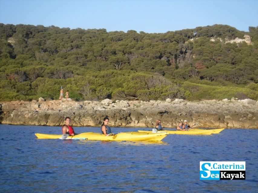 Porto Selvaggio kayak tour + cliff diving + cold springs - Pine forest walk: a calm break before the final water moment