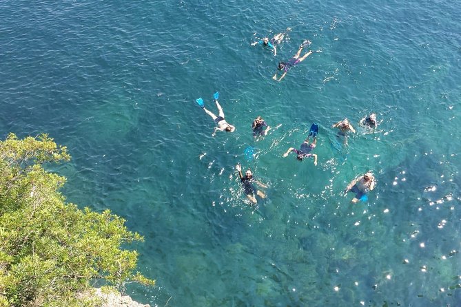 Portofino Kayak Tour - Key things to know before you go