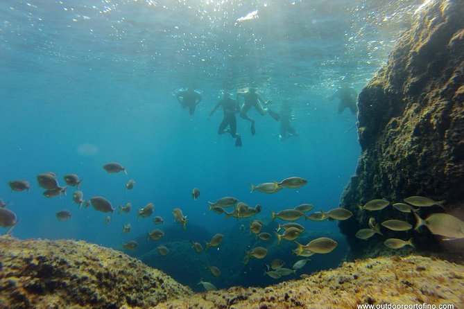 Portofino Kayak Tour - Snorkeling and sunset options: how to time it for the best payoff