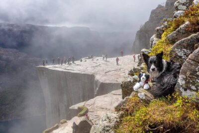 Preikestolen Hidden Trail Hike + Lunch and Canoe Trip - Refsvatnet Canoe Ride: Safety First, Then Real Fjord-Edge Peace