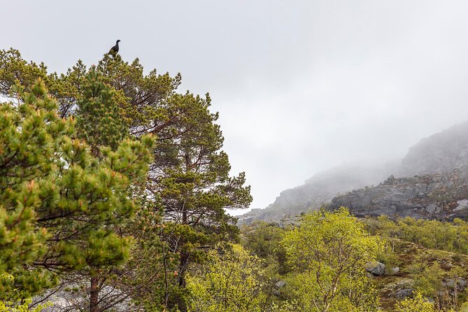 Preikestolen Hidden Trail Hike + Lunch and Canoe Trip - Packet Lunch in the Middle of Norway’s Climb