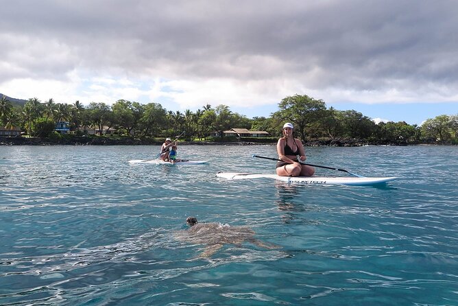Private Beginner Paddleboard 101 Lesson: Makena Landing! - Turtle Town wildlife moments (and why staying calm helps you spot them)