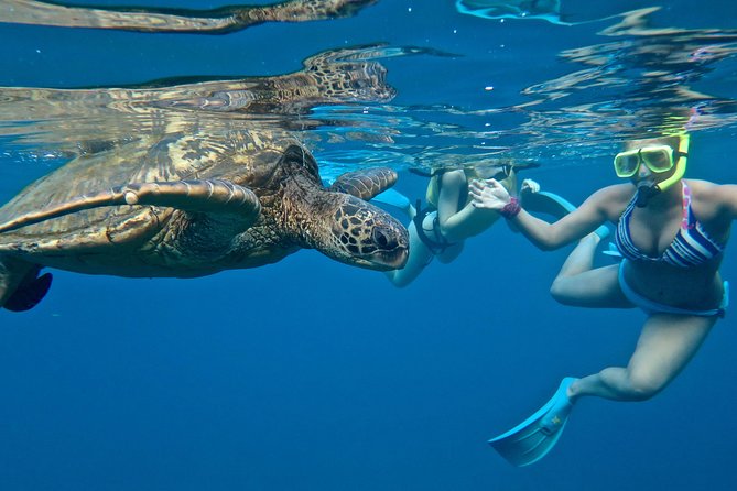 Private Beginner Paddleboard Lesson with Snorkel in Turtle Town - Why Turtle Town Works So Well for First-Timers