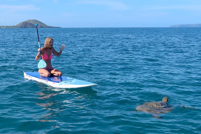 Private Beginner Paddleboard Lesson with Snorkel in Turtle Town - Where You Start at Makena Landing Park (And Why That Location Helps)
