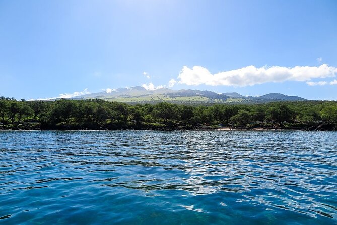 Private Beginner Paddleboard Lesson with Snorkel in Turtle Town - Snorkeling for Honu and Ocean Friends Without Fins