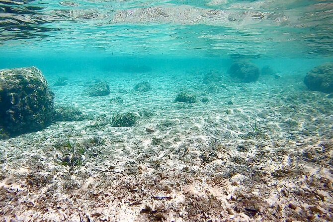 Private Boat Tour from Palma with Snorkeling and Paddle Surfing - Drinks and Snacks: What’s Included, What’s Optional, and What to Expect